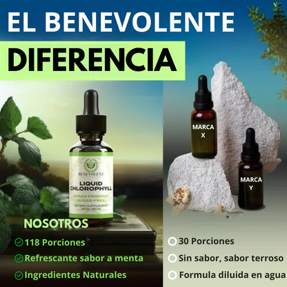 🌿 VitalGreen Drops 💧 ¿Listo para desintoxicar tu cuerpo y sentirte increíble? ✨💪